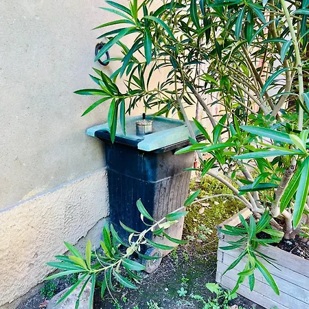 度假居 摩恩马塞特度假屋